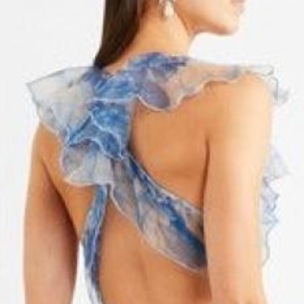 Brand Name Unknown- Goddess Voulant Dress - Picture 6 of 16